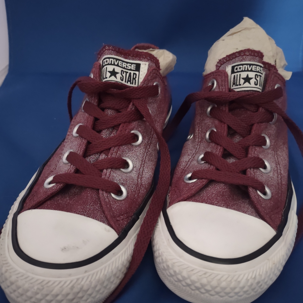 Converse All Star Burgundy Sneakers